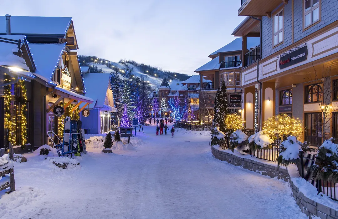 Blue Mountain Resort Home Collection-1